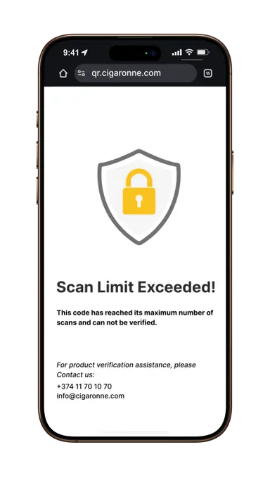 验证次数超限状态图示